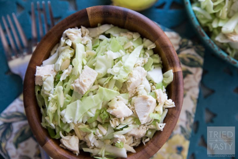 Japanese Chicken Salad // This super quick & easy salad can be served as a side or main dish. Perfect for parties & potlucks! | Tried and Tasty