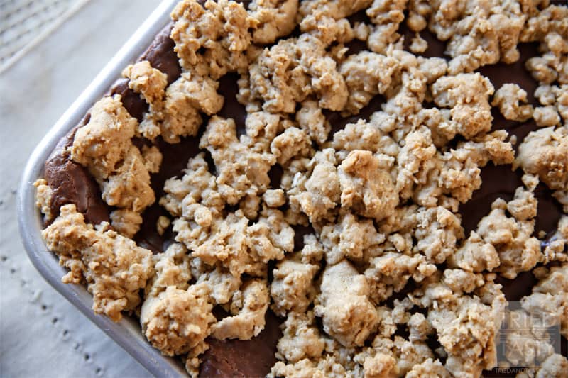 Revel Bars // A delicious combination of oats and chocolate. A great bar recipe to take to any gathering! | Tried and Tasty