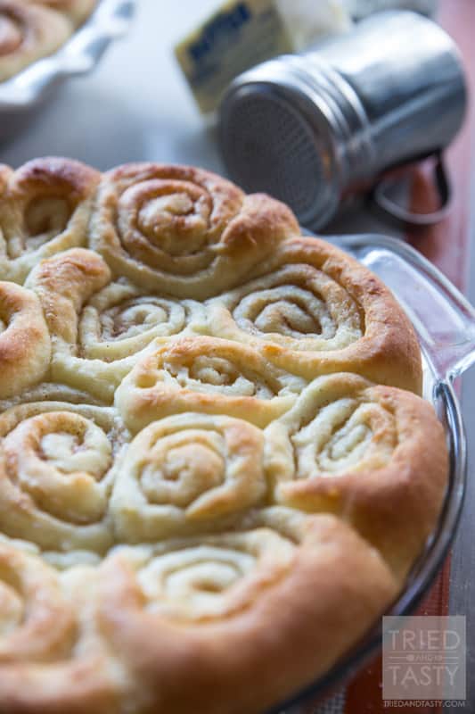 Cinnamon Rolls w/Cream Cheese Frosting // These are the softest, most delicious cinnamon rolls you'll sink your teeth in to. The frosting that tops them off is out of this world. You're welcome. | Tried and Tasty