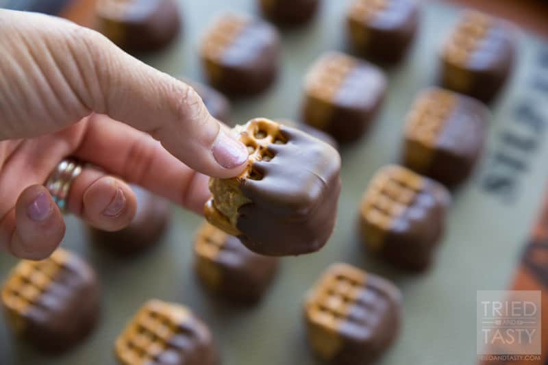 Peanut Butter Pretzel Bites // Calling all of my peanut butter and chocolate fans! These little morsels are the perfect little treat sandwiched in between the perfect little salty pretzel snacks! A great treat for any occasion! | Tried and Tasty