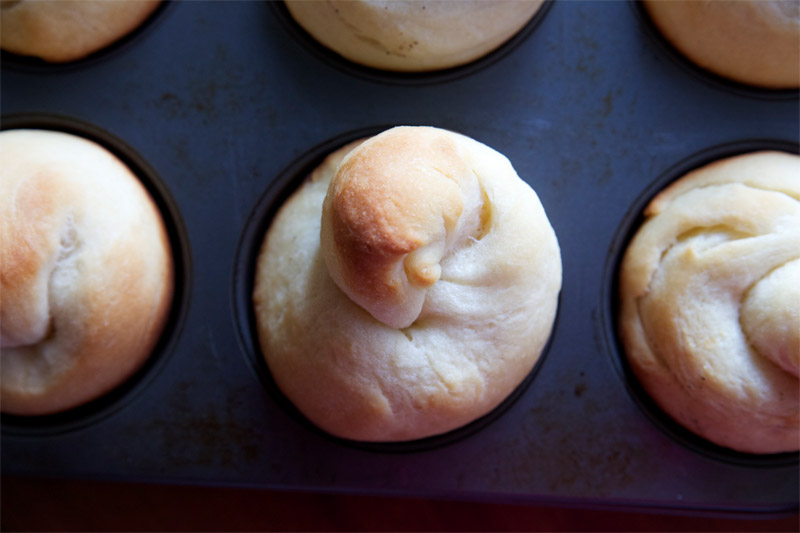 Grandma's Quick Yeast Rolls // TriedandTasty