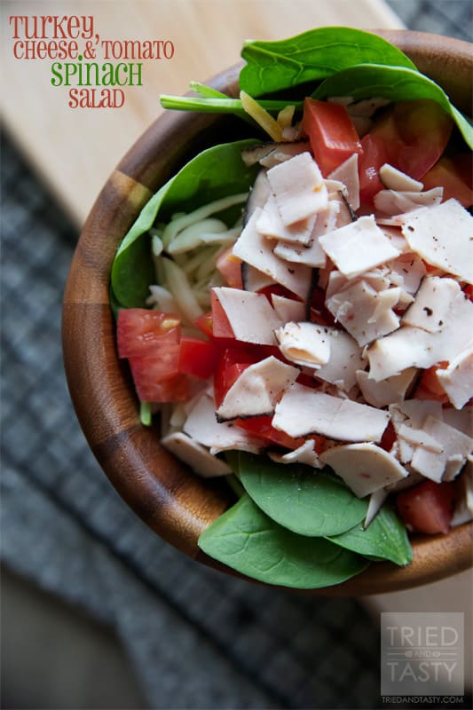 Turkey, Cheese & Tomato Spinach Salad // Tried and Tasty