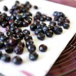 How To Substitute Frozen Blueberries // Tried and Tasty