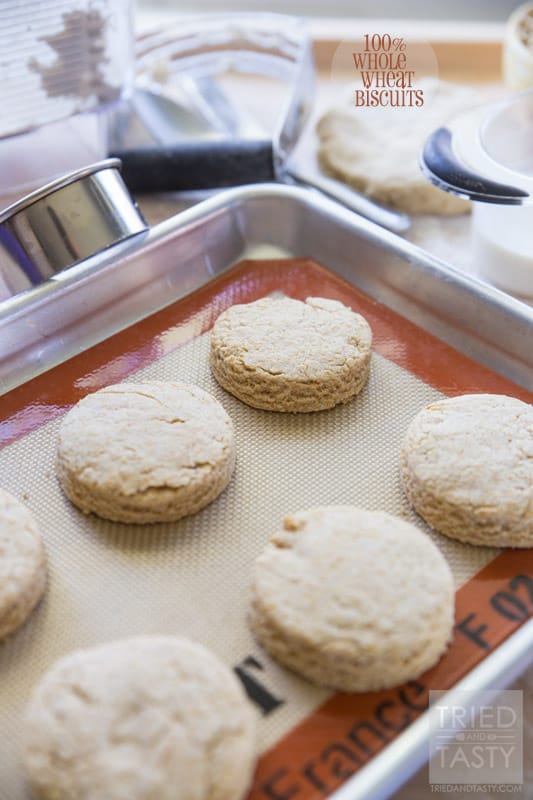 100% Whole Wheat Biscuits // Made with wholeseome ingredients, these whole wheat biscuits are perfect for any breakfast or brunch. Great with melted butter or coconut oil and a drizzle of raw honey! | Tried and Tasty