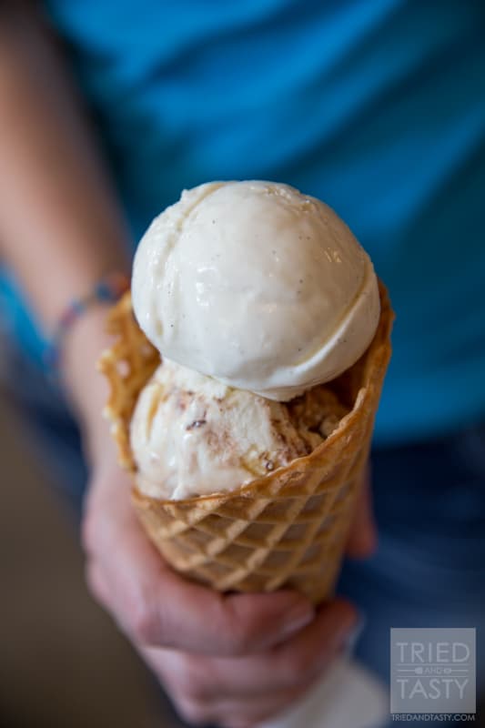 Indulge Food Bloggers Conference, Portland OR 2015 // For a first timer, it's easy to see how a foodie could fall in love with the city of Portland. So much tasty food in the middle of the most beautiful green cityscape. Follow my adventure through the city as I eat my way around town! | Tried and Tasty