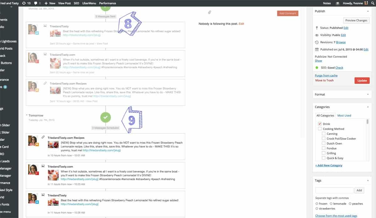 Tried and Tasty CoSchedule Review