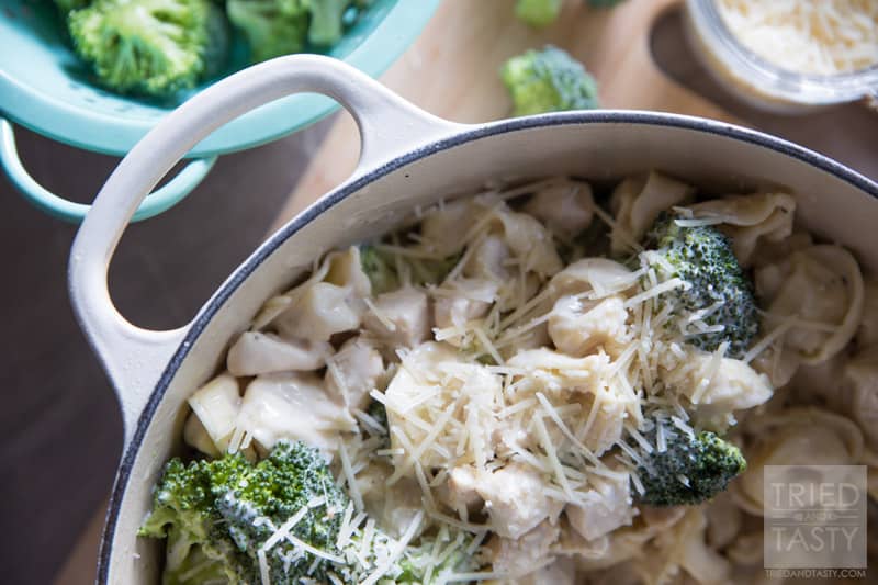 One Pot Chicken & Broccoli Tortellini // Five ingredients, 30 minutes, and one delicious dinner the whole family will love! Made with Prego Alfredo you'll have a flavorful & saucy dinner perfect for any day of the week! | Tried and Tasty